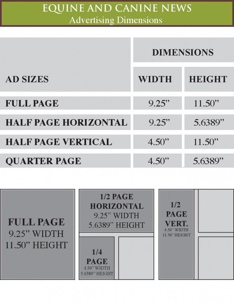 Media Kit with Fillable Insertion Order Updated for 2020-page-003